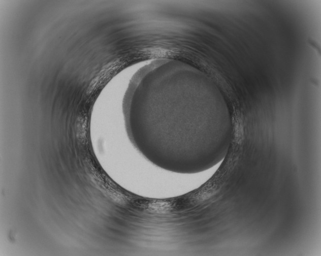 X0000103950357200810311555