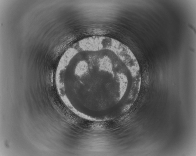 X0000103950358200810311555