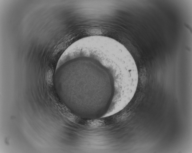 X0000103950359200810311555