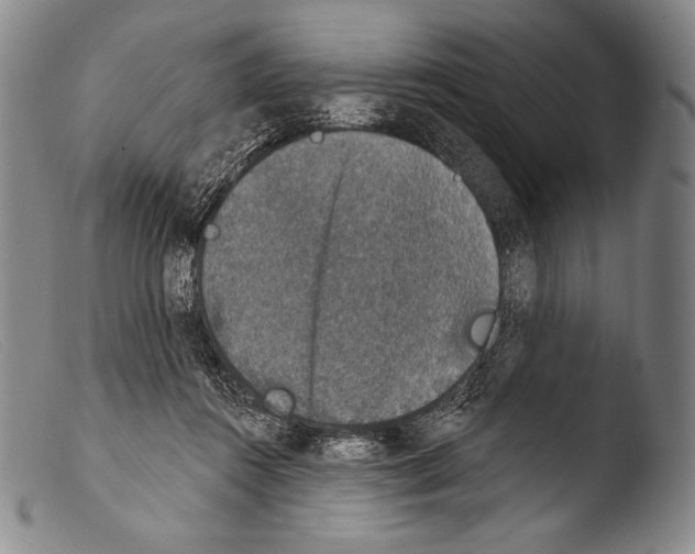 X0000103950360200810311555
