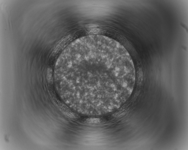 X0000103950361200810311555