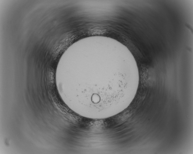X0000103950362200810311555