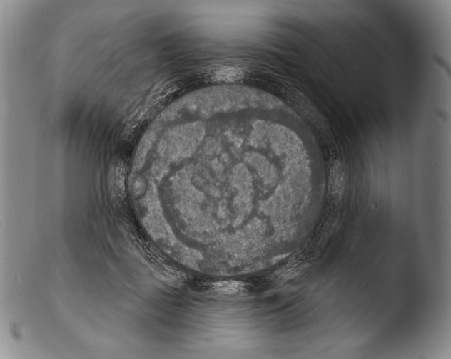 X0000103950363200810311555