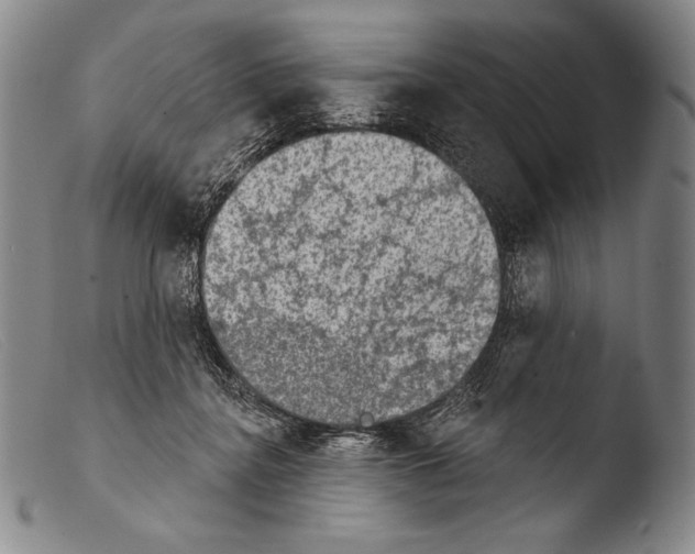 X0000103950364200810311555