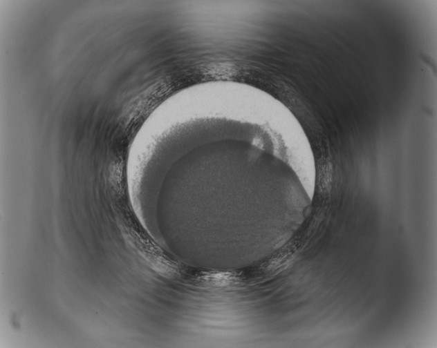 X0000103950365200810311555
