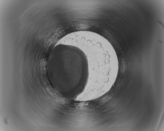 X0000103950366200810311555