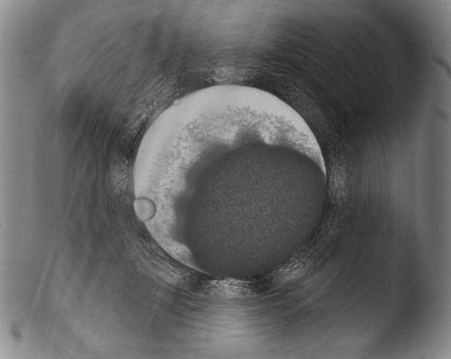 X0000103950367200810311555