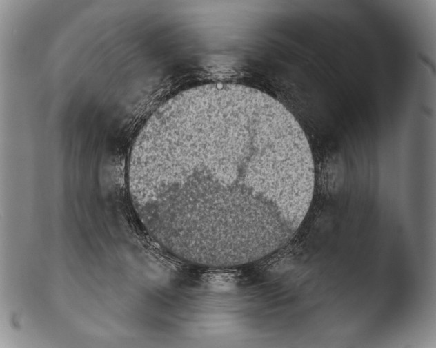X0000103950368200810311555