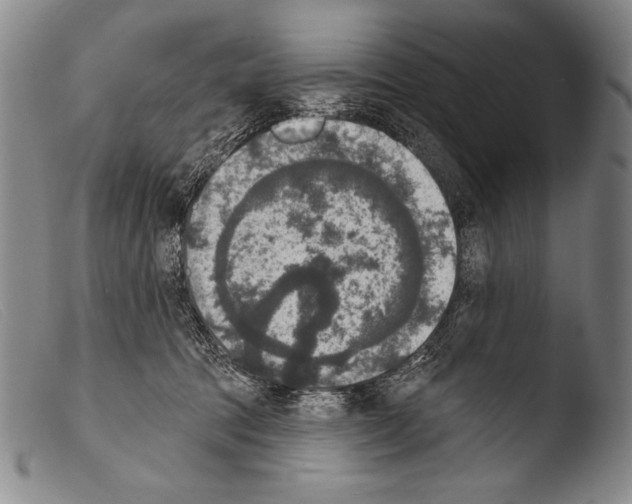 X0000103950369200810311555
