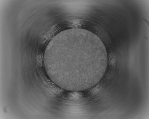 X0000103950370200810311555
