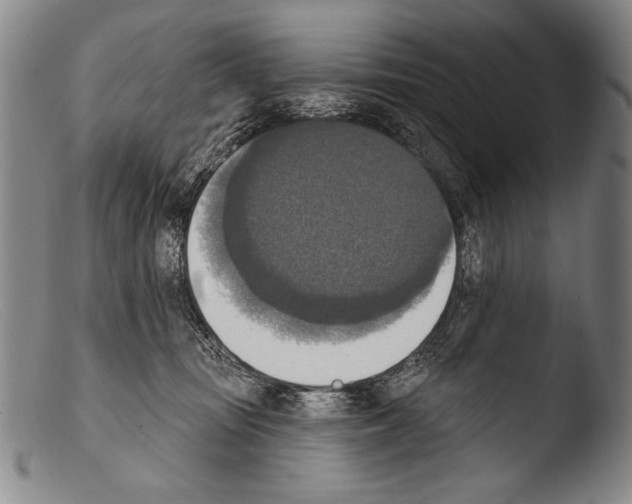 X0000103950371200810311555