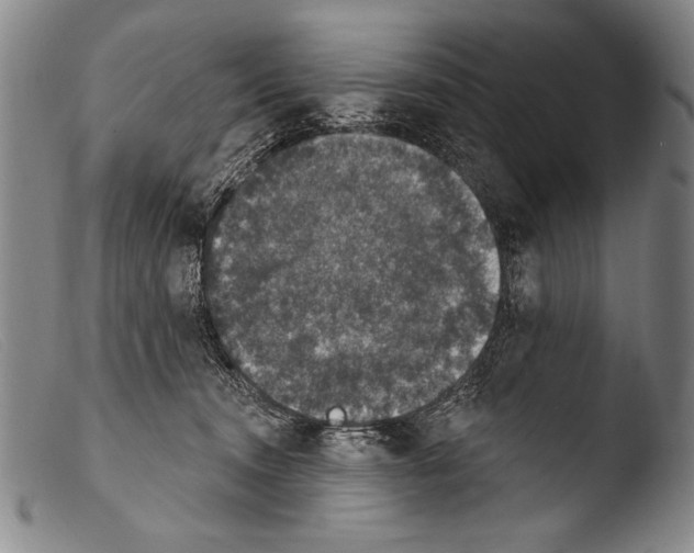 X0000103950372200810311555