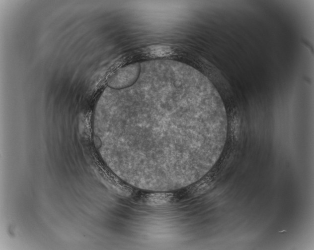X0000103950373200810311555
