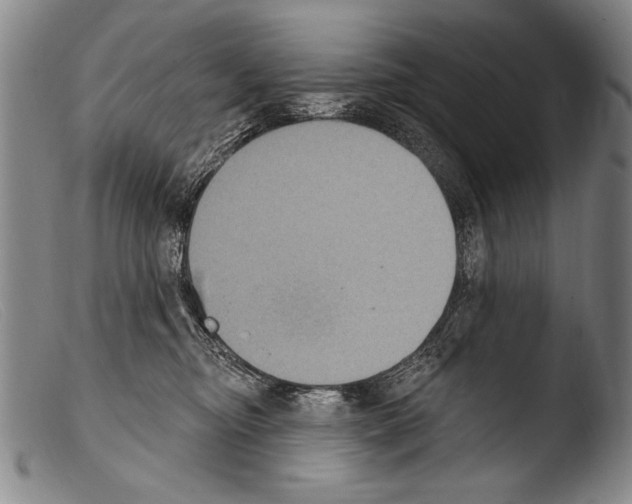 X0000103950374200810311555