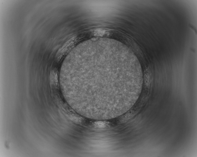 X0000103950375200810311555