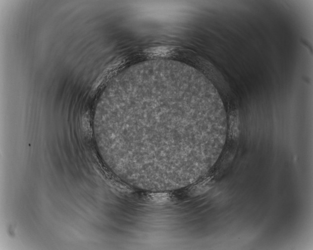 X0000103950377200810311555