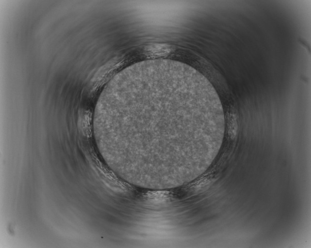 X0000103950378200810311555