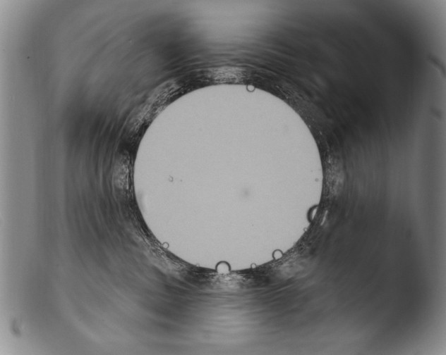 X0000103950379200810311555