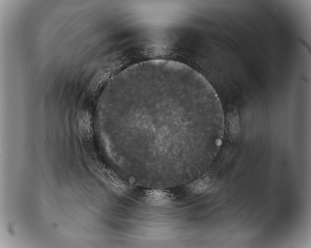 X0000103950380200810311555