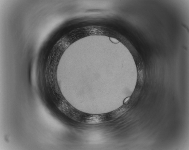 X0000103950381200810311555