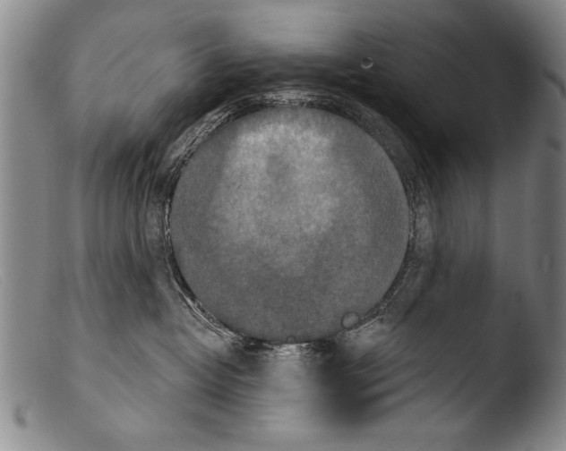 X0000103950382200810311555
