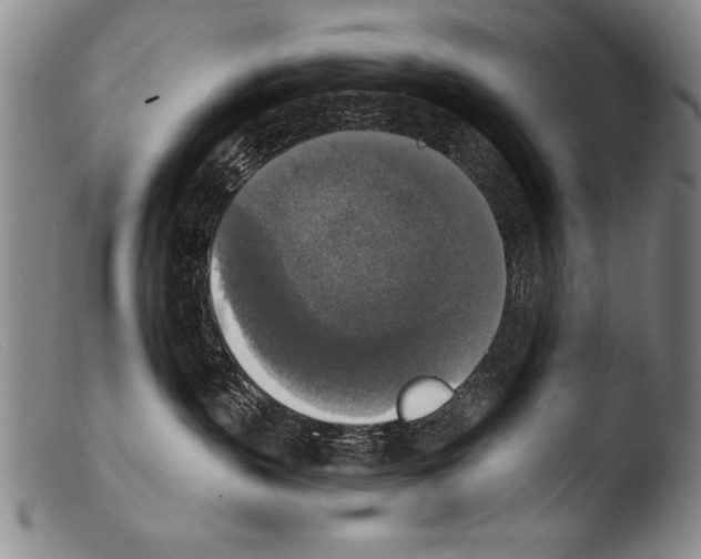 X0000103950383200810311555