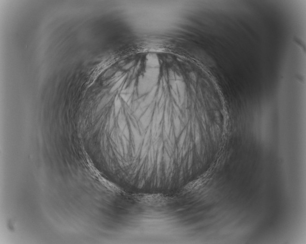 X0000103950385200810311554