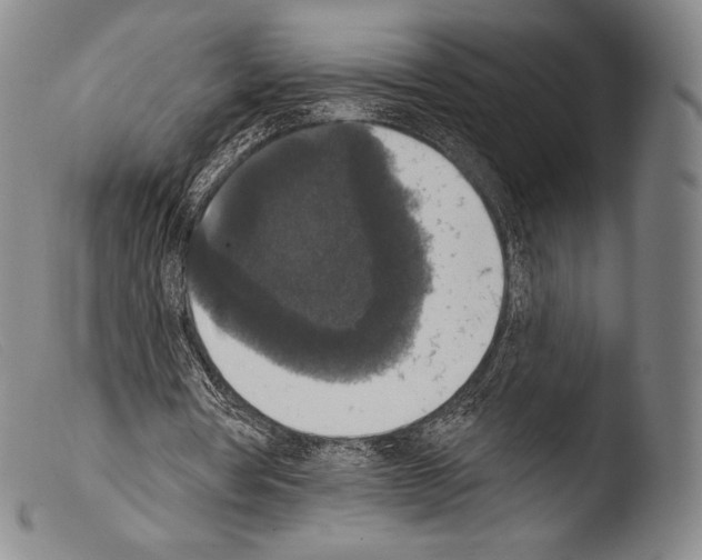X0000103950386200810311554