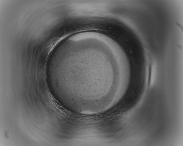 X0000103950387200810311554
