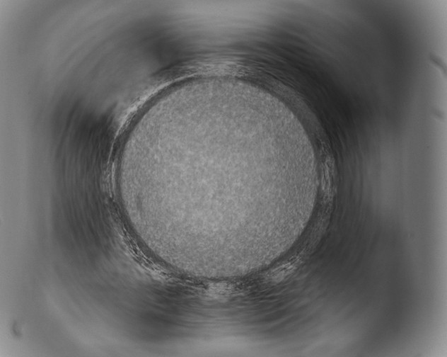 X0000103950388200810311554