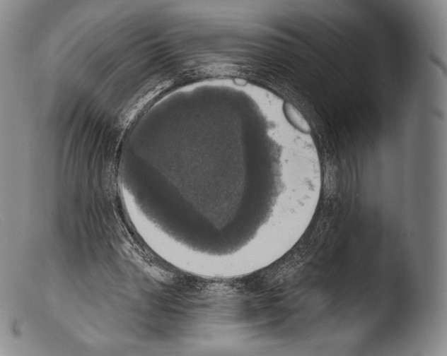 X0000103950390200810311554