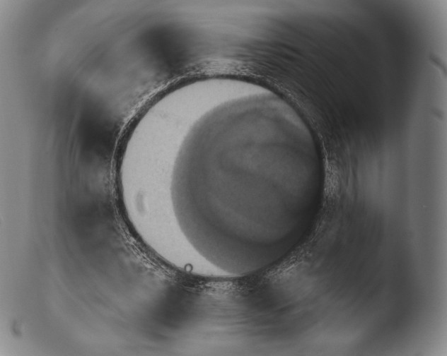 X0000103950391200810311554