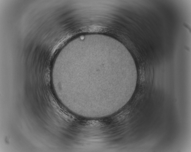 X0000103950392200810311554