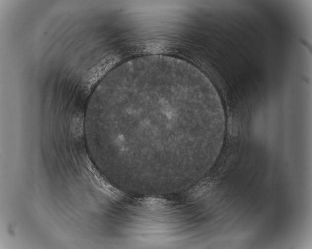 X0000103950393200810311554