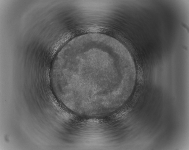 X0000103950394200810311554