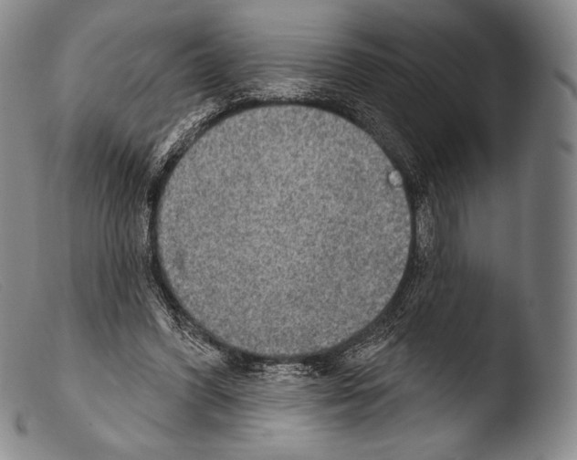 X0000103950396200810311554