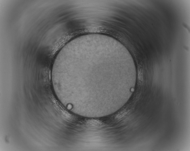 X0000103950397200810311554
