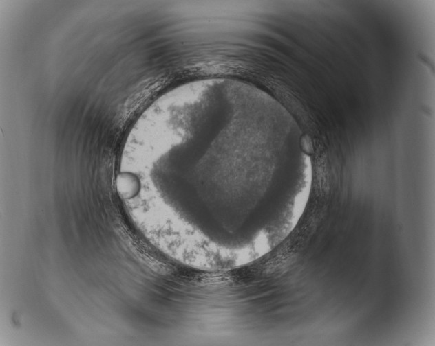 X0000103950398200810311554