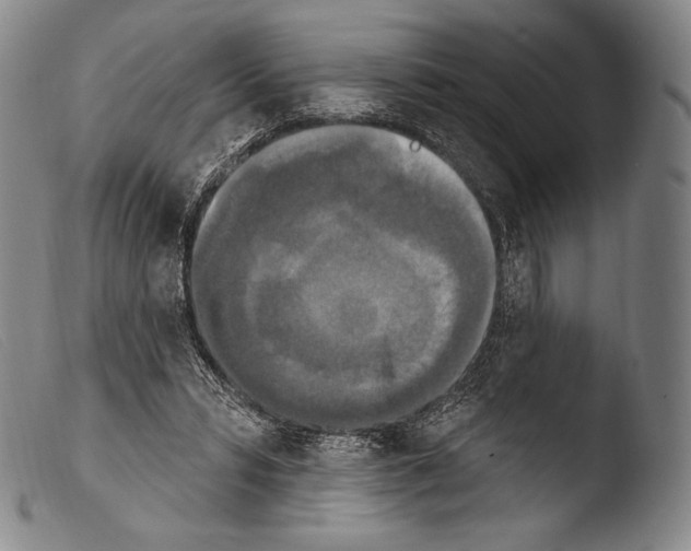 X0000103950399200810311554