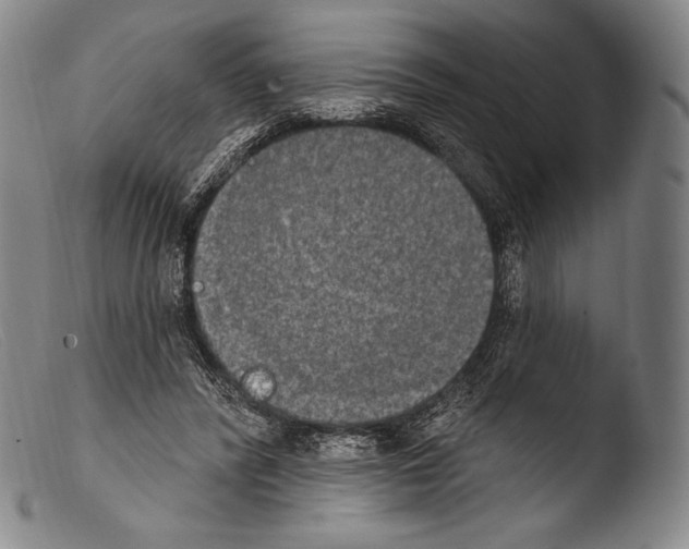 X0000103950400200810311554