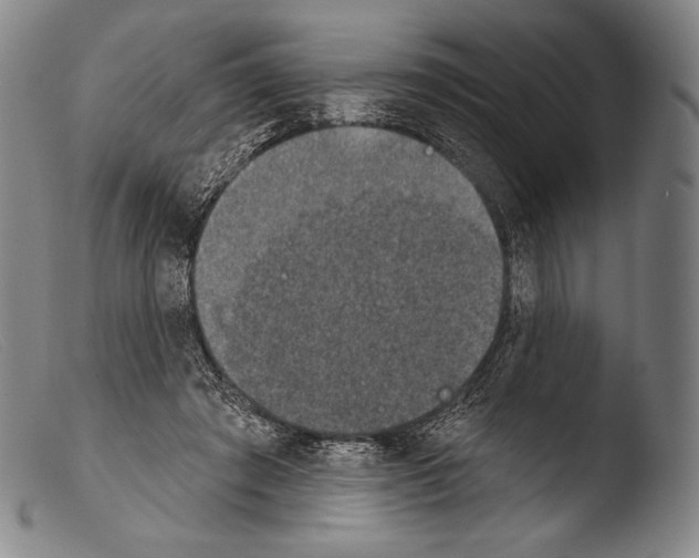 X0000103950401200810311554