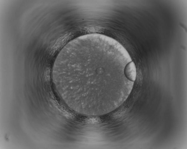 X0000103950402200810311554