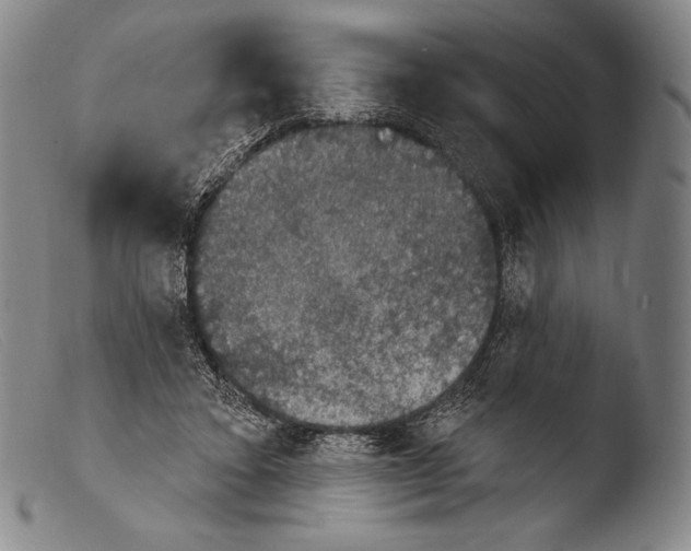 X0000103950403200810311554