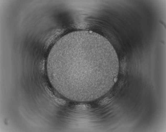 X0000103950404200810311554
