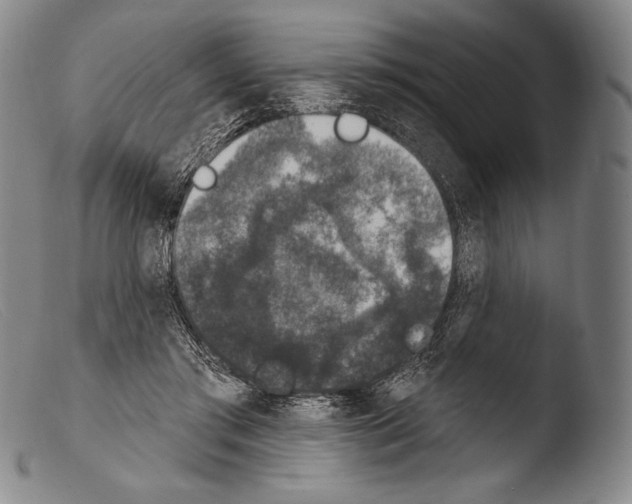 X0000103950405200810311554