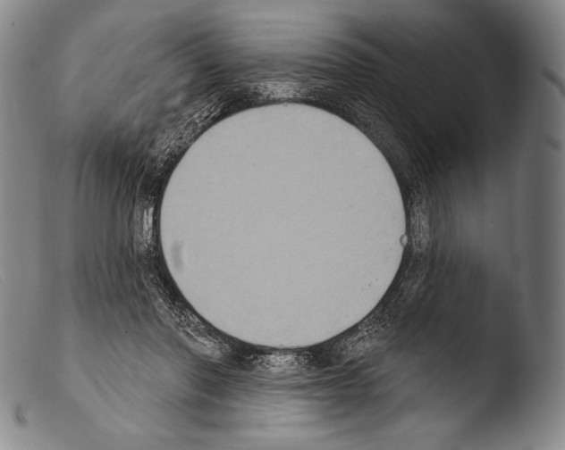 X0000103950406200810311554