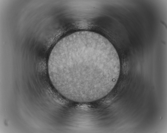 X0000103950407200810311554