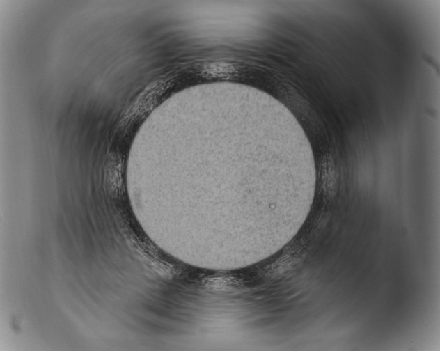 X0000103950408200810311554