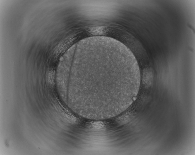 X0000103950409200810311554