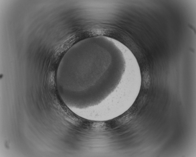 X0000103950410200810311554